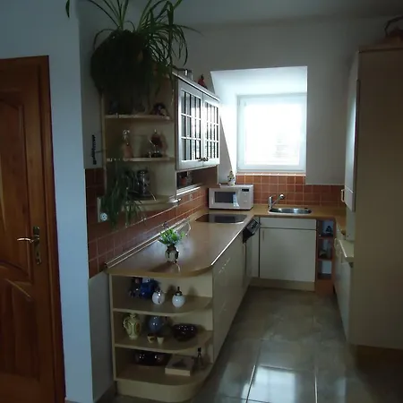 Apartment Duhova Frantiskovy Lazne Room photo